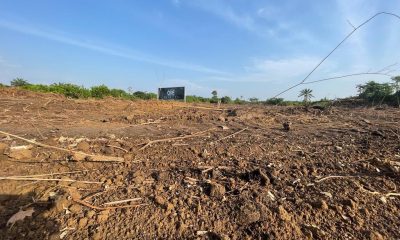 Plots of Land in ORE Estate for sale